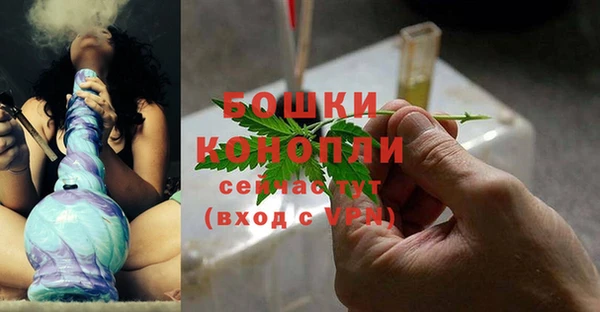 прущие грибы Кинешма