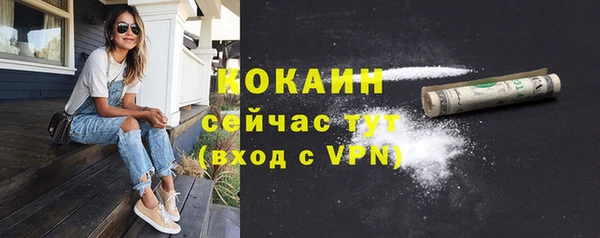 таблы Козловка