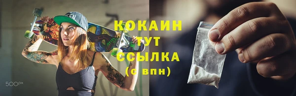 прущие грибы Кинешма