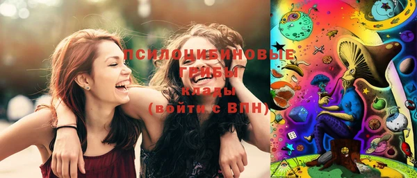 прущие грибы Кинешма