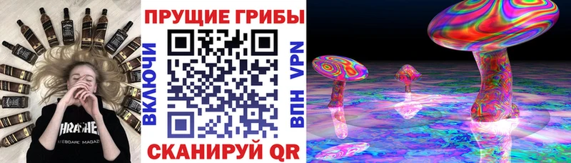 Галлюциногенные грибы мицелий  Купить закладки  Высоковск 